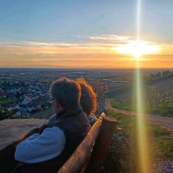 komm vorbei - am Platz an der Sonne